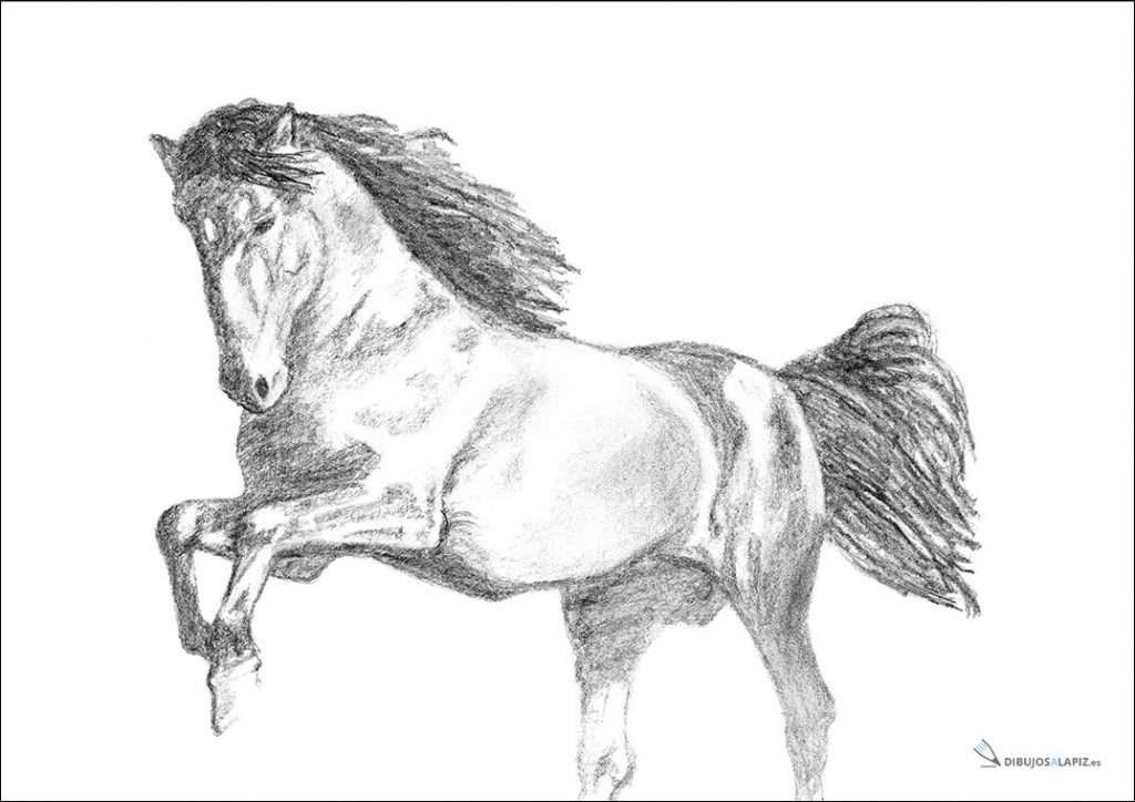 dibujos-a-lapiz-animales-caballos-001